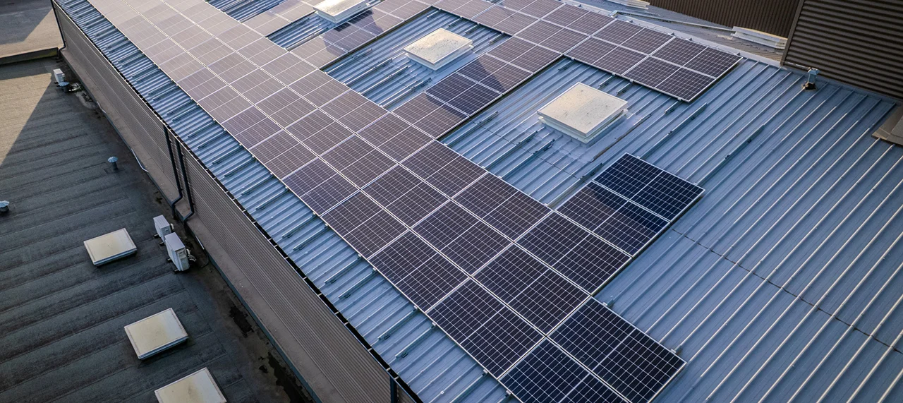 Background for profile 4