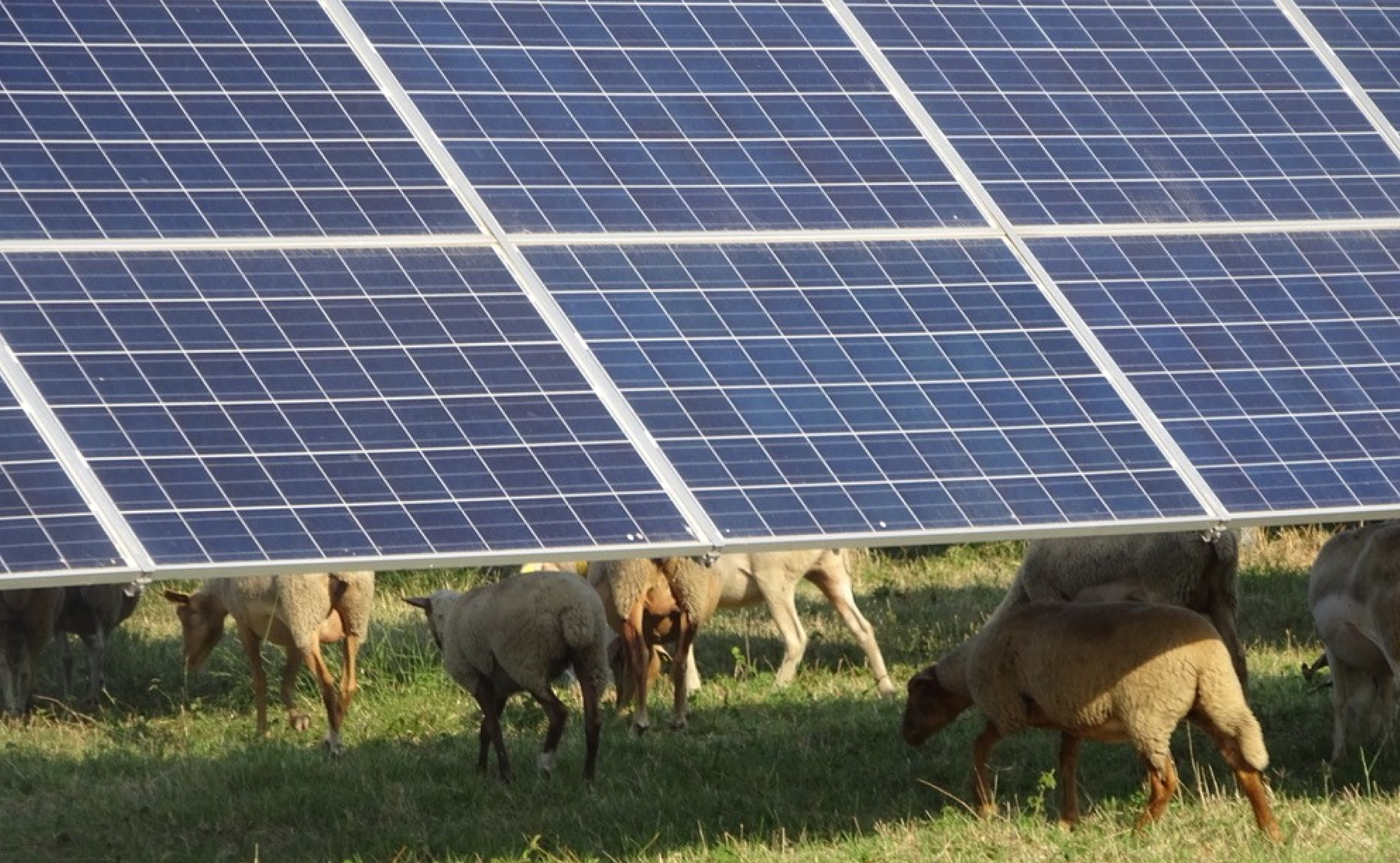 key-message-agrivoltai%CC%88sme-2_d