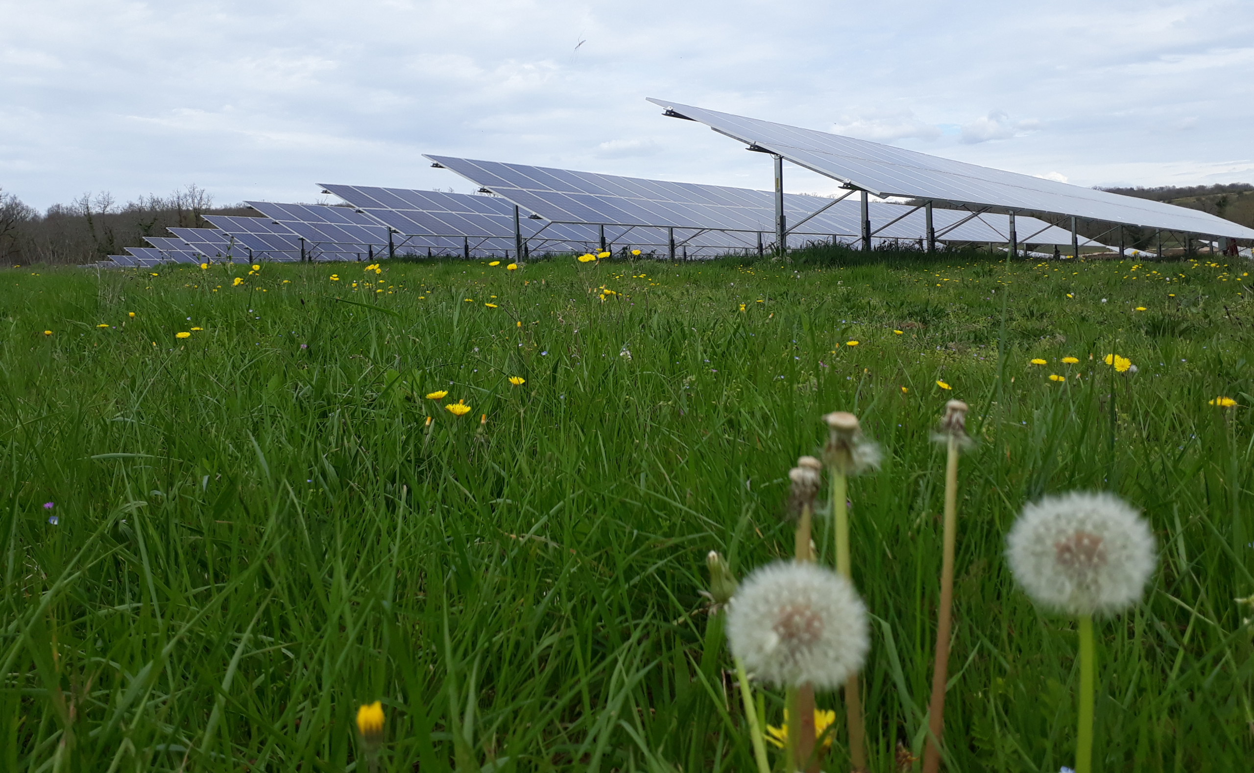 key-message-agrivoltai%CC%88sme-3_d