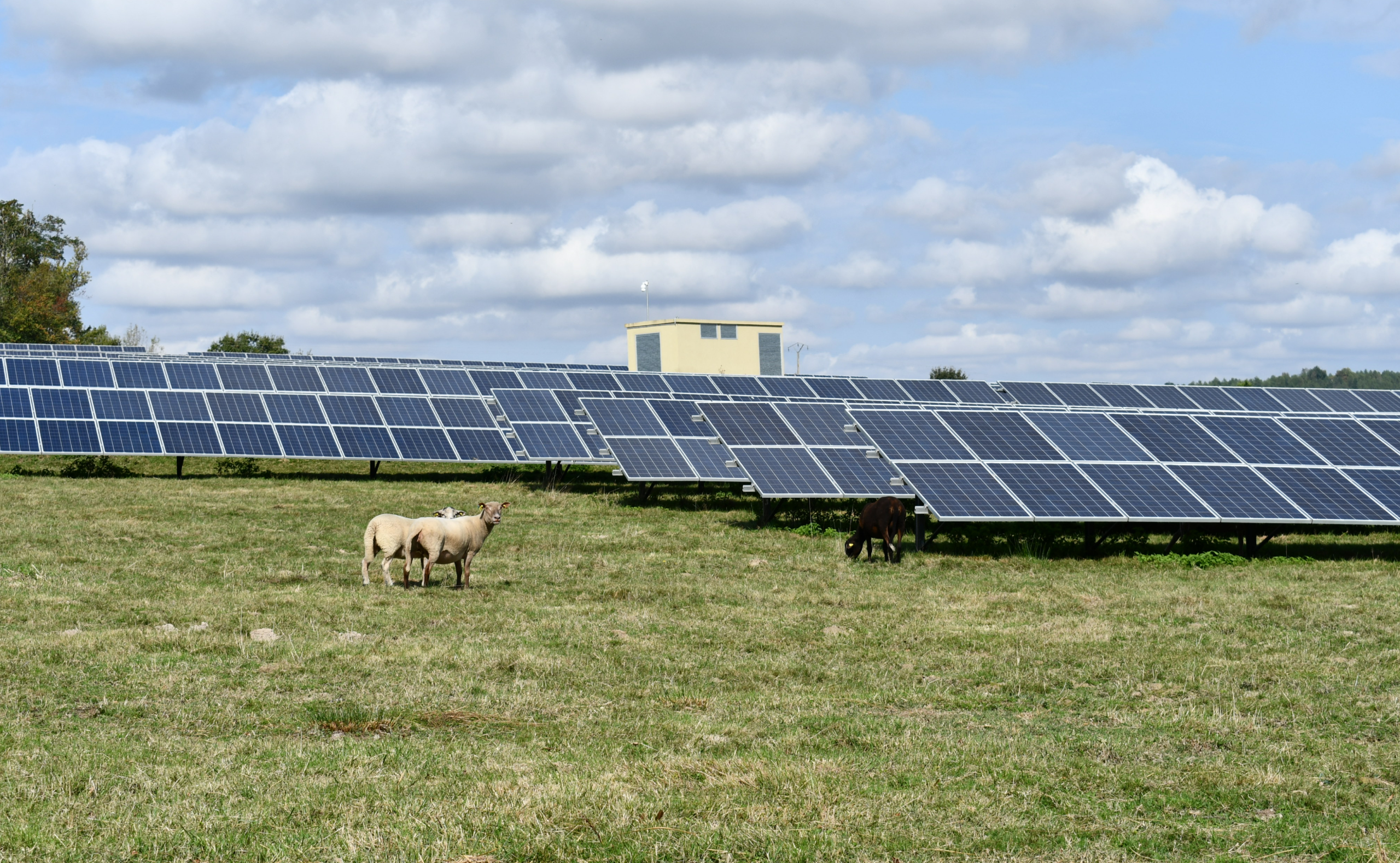 key-message-agrivoltai%CC%88sme-4_d