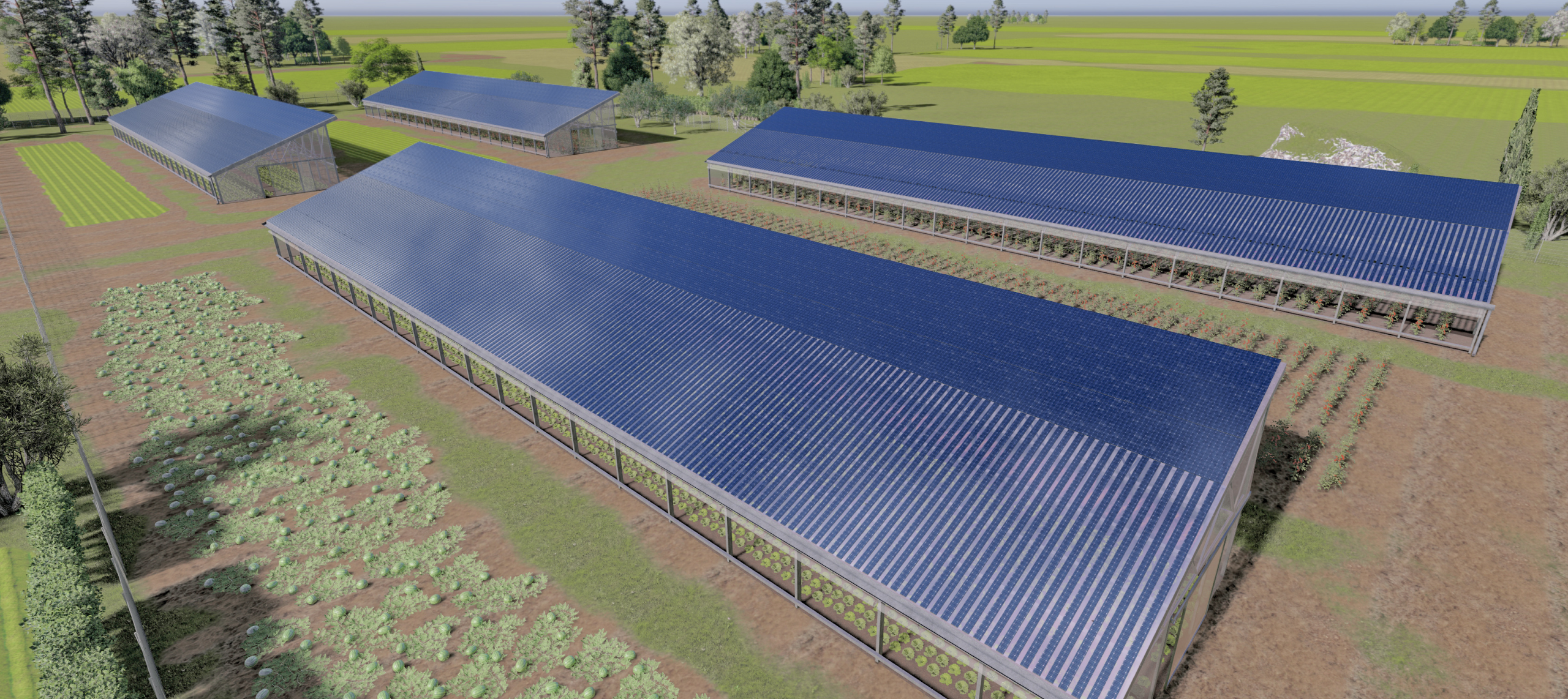 Background for profile 2